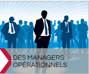 management de transition